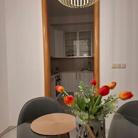 Terrace Široki Brijeg