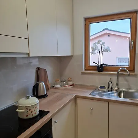 דירה Terrace שירוקי ברייג'